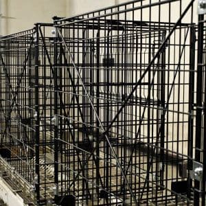 conteneurs-de-stockage-3