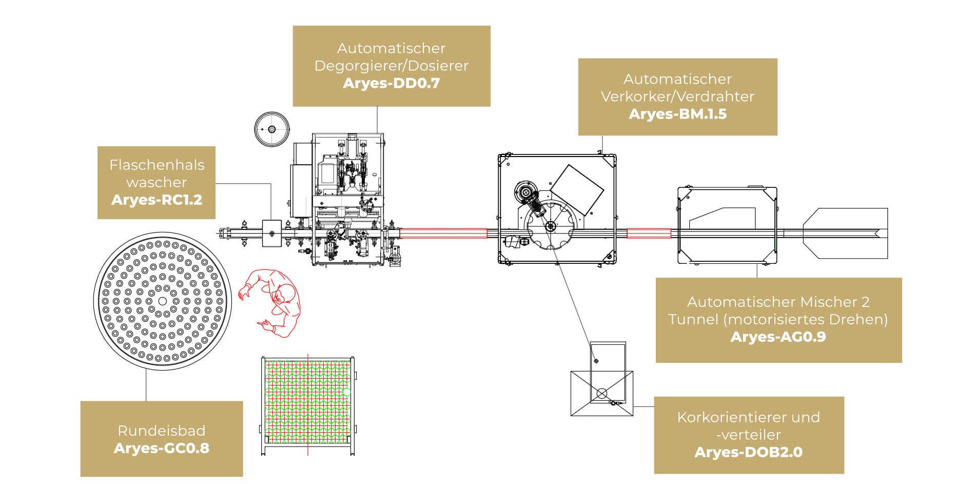Schema der ARYES Degorgierlinie